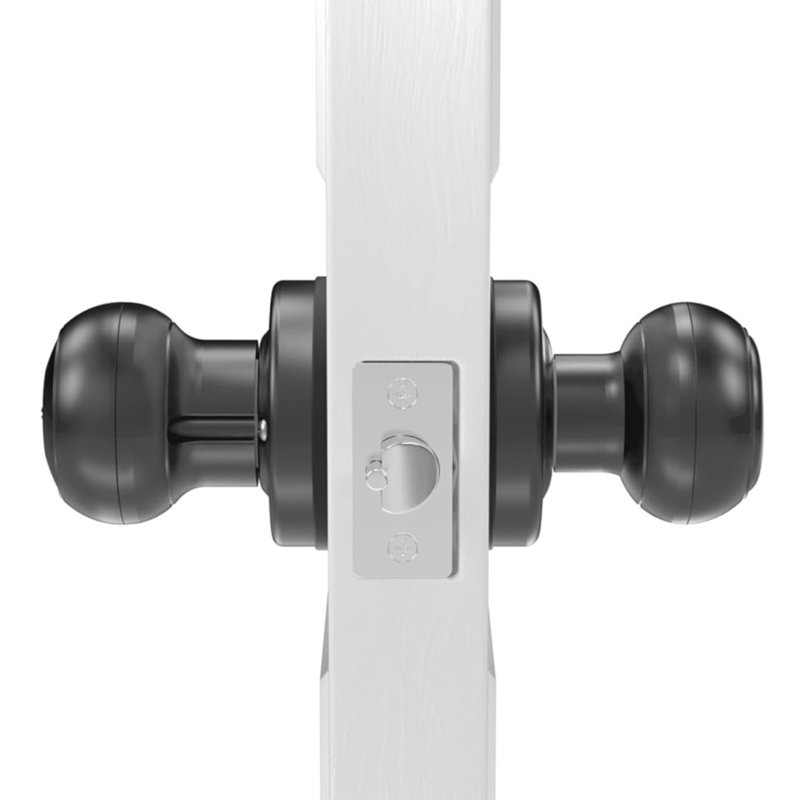 GeekTale 3in1 Fingerprint, App, Backup keys Smart Door Lock & Reviews